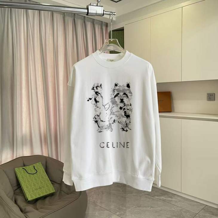 Picture of Celine Sweatshirt _SKUCelineS-2XLhgntx0331165